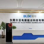 Global Custom Battery Manufacturer|BluePower