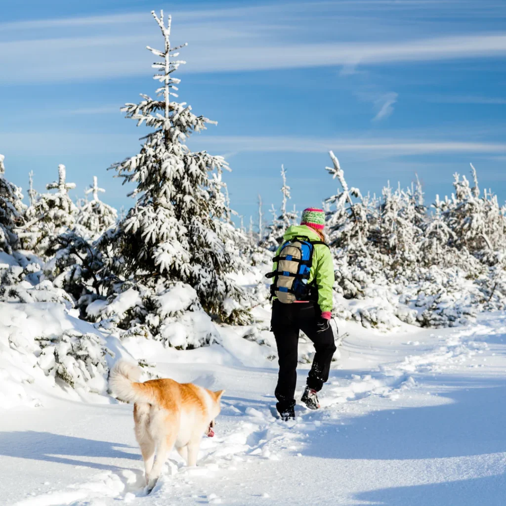 BluePower Custom Battery Solutions for Non-Standard Applications 6 GPS Tracker in Winter Wilderness